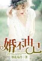 陆少追妻之婚不由己