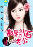 少主的二嫁新娘:高攀钻石老公
