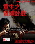 重生之黄埔悍将小说